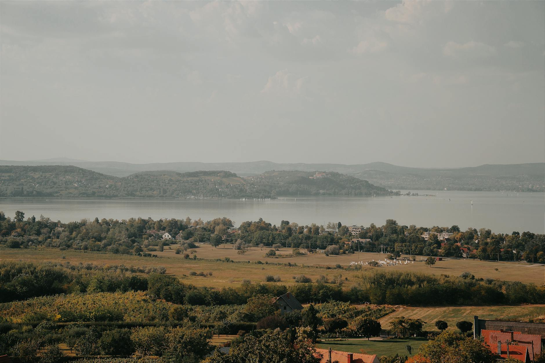 Widok jeziora Balaton z tarasu winnicy na wzgórzu